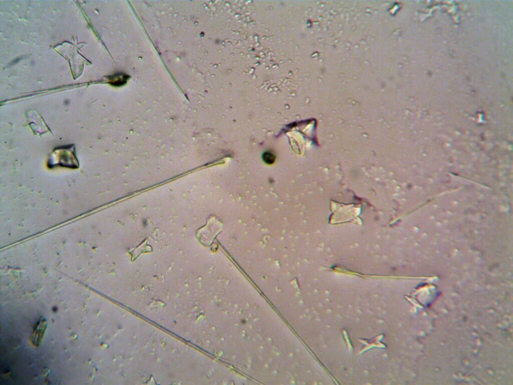 Partículas microscópicas en agua representando la contaminación por microplásticos que los microrobots checos buscan eliminar