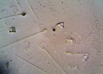 Partículas microscópicas en agua representando la contaminación por microplásticos que los microrobots checos buscan eliminar