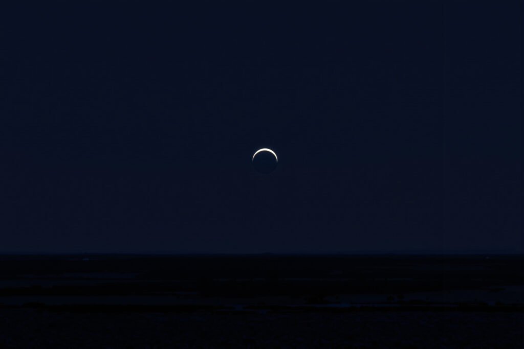 Cielo oscurecido durante un eclipse solar, fenómeno que altera el comportamiento de los animales.