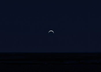 Cielo oscurecido durante un eclipse solar, fenómeno que altera el comportamiento de los animales.