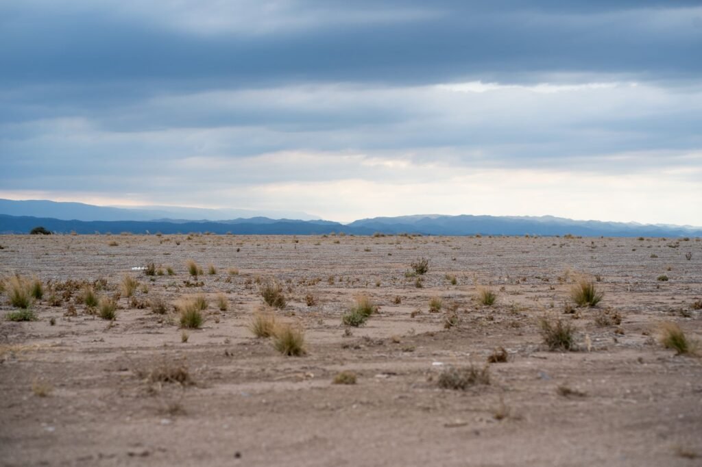 Paisaje árido de Nevada con suelo agrietado por la sequía del río Colorado.