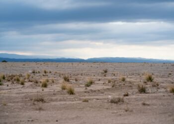 Paisaje árido de Nevada con suelo agrietado por la sequía del río Colorado.