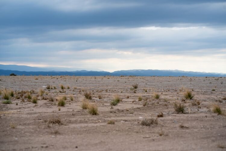 Paisaje árido de Nevada con suelo agrietado por la sequía del río Colorado.