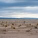 Paisaje árido de Nevada con suelo agrietado por la sequía del río Colorado.