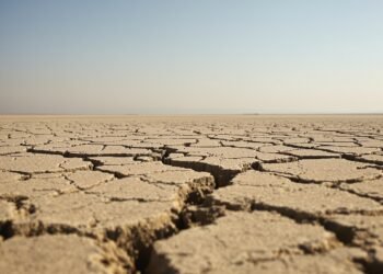 Paisaje árido con tierra agrietada bajo el sol intenso, representativo de olas de calor extremas en Europa.