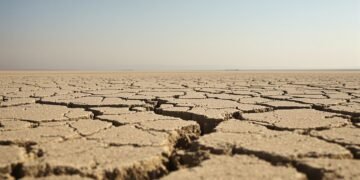 Paisaje árido con tierra agrietada bajo el sol intenso, representativo de olas de calor extremas en Europa.