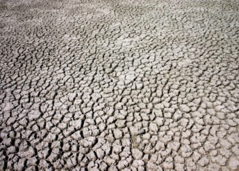 Tierra agrietada por sequía extrema en el sur de Estados Unidos bajo cielo despejado.