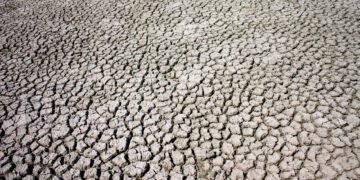 Tierra agrietada por sequía extrema en el sur de Estados Unidos bajo cielo despejado.
