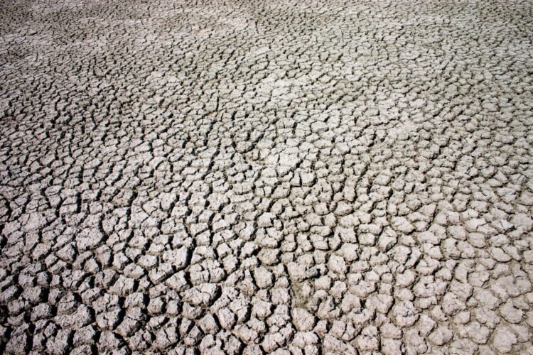 Tierra agrietada por sequía extrema en el sur de Estados Unidos bajo cielo despejado.
