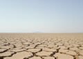 Tierra agrietada por la sequía, símbolo de la desertificación que enfrentan los países del Sur global.