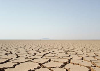 Tierra agrietada por la sequía, símbolo de la desertificación que enfrentan los países del Sur global.