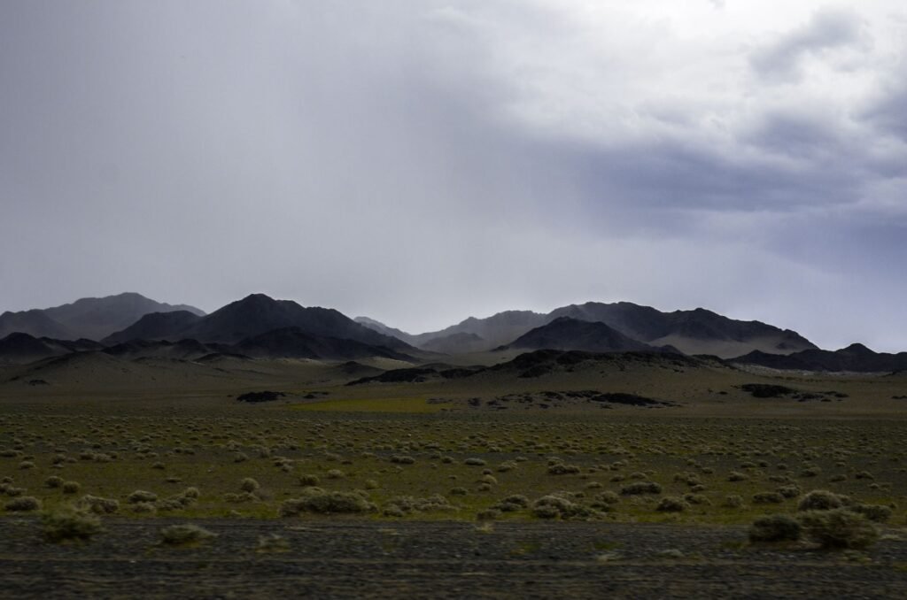 Pastizales y estepas de Mongolia, ecosistema central en la COP17 sobre desertificación.
