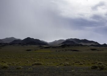 Pastizales y estepas de Mongolia, ecosistema central en la COP17 sobre desertificación.