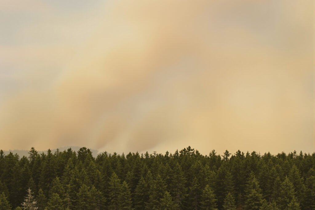 Columna de humo elevándose sobre un paisaje forestal afectado por incendio, representando la magnitud del peor incendio de la