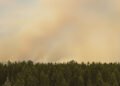 Columna de humo elevándose sobre un paisaje forestal afectado por incendio, representando la magnitud del peor incendio de la