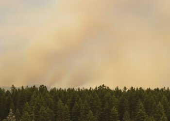 Columna de humo elevándose sobre un paisaje forestal afectado por incendio, representando la magnitud del peor incendio de la