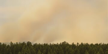 Columna de humo elevándose sobre un paisaje forestal afectado por incendio, representando la magnitud del peor incendio de la