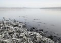 Río Danubio con nivel de agua bajo debido a sequía en Europa del Este.