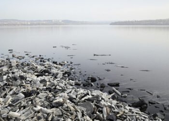 Río Danubio con nivel de agua bajo debido a sequía en Europa del Este.