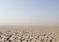 Lecho seco del río Danubio con tierra agrietada por la sequía extrema en Europa del Este.