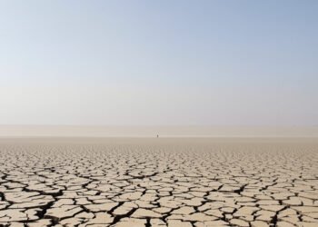 Lecho seco del río Danubio con tierra agrietada por la sequía extrema en Europa del Este.