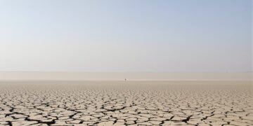 Lecho seco del río Danubio con tierra agrietada por la sequía extrema en Europa del Este.