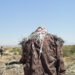 Tierras rurales en Argentina donde habitan comunidades indígenas que reclaman derechos territoriales ancestrales.