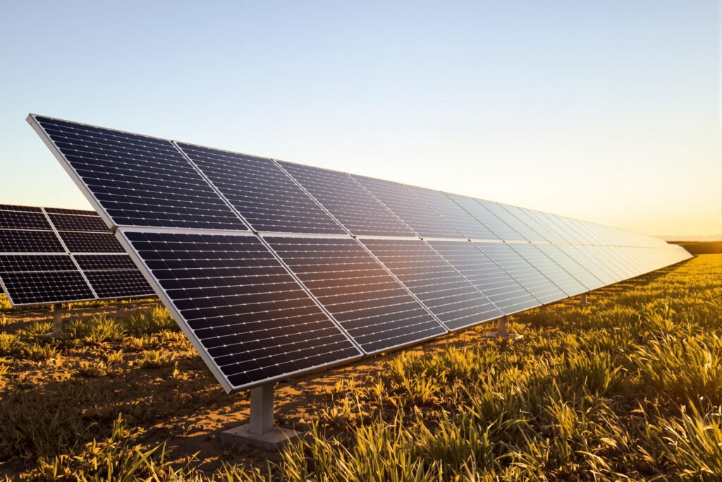 Paneles solares en un campo de España bajo el sol del mediodía, símbolo del récord de generación renovable.
