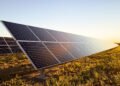 Paneles solares en un campo de España bajo el sol del mediodía, símbolo del récord de generación renovable.