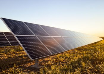 Paneles solares en un campo de España bajo el sol del mediodía, símbolo del récord de generación renovable.