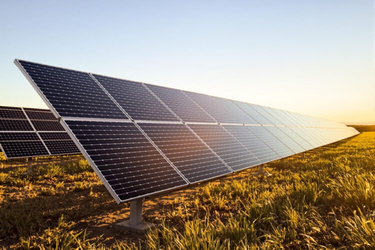 Paneles solares en un campo de España bajo el sol del mediodía, símbolo del récord de generación renovable.