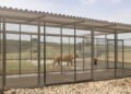 Grandes felinos en santuario con espacio amplio y vegetación natural