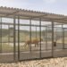 Grandes felinos en santuario con espacio amplio y vegetación natural