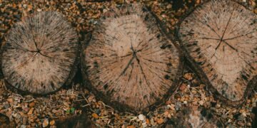 Residuos de madera apilados en una planta forestal, materia prima para la producción de plásticos sostenibles.