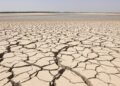 Lecho seco del río Danubio en Europa Central durante la sequía extrema de 2026.
