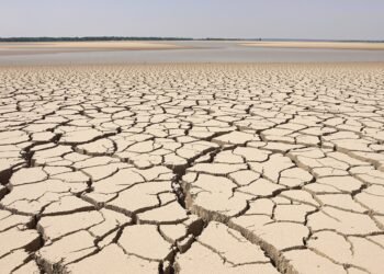 Lecho seco del río Danubio en Europa Central durante la sequía extrema de 2026.