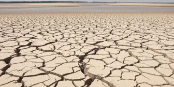 Lecho seco del río Danubio en Europa Central durante la sequía extrema de 2026.