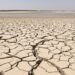 Lecho seco del río Danubio en Europa Central durante la sequía extrema de 2026.