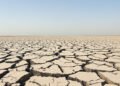 Lecho de río europeo agrietado por la sequía extrema del verano 2026.