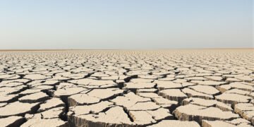Lecho de río europeo agrietado por la sequía extrema del verano 2026.