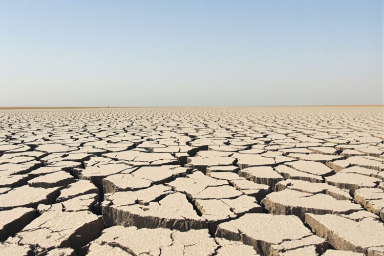 Lecho de río europeo agrietado por la sequía extrema del verano 2026.