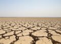Tierra agrietada por sequía extrema en paisaje del Altiplano boliviano.