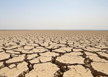 Tierra agrietada por sequía extrema en paisaje del Altiplano boliviano.