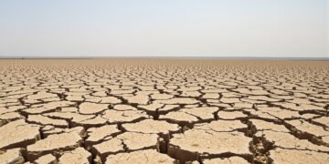 Tierra agrietada por sequía extrema en paisaje del Altiplano boliviano.