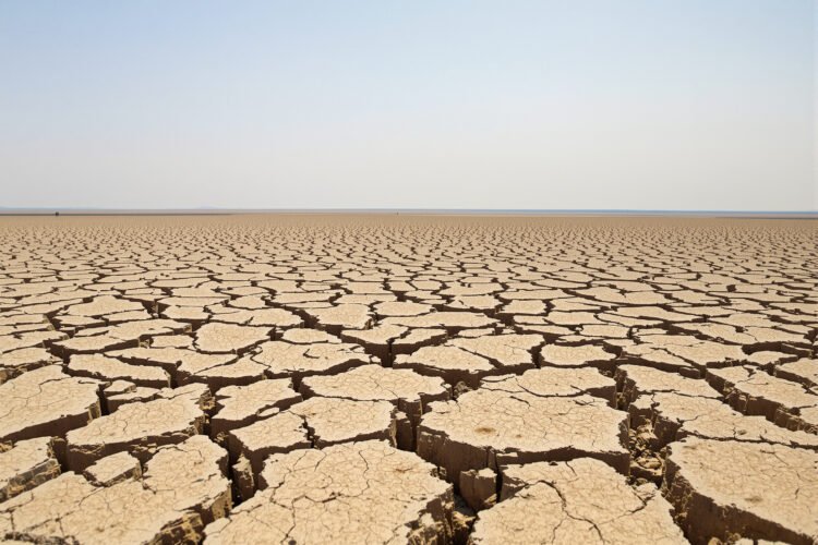 Tierra agrietada por sequía extrema en paisaje del Altiplano boliviano.