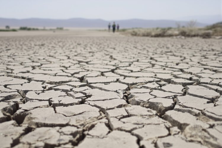 Cauce seco y agrietado de un río europeo durante la sequía extrema que afecta al continente.