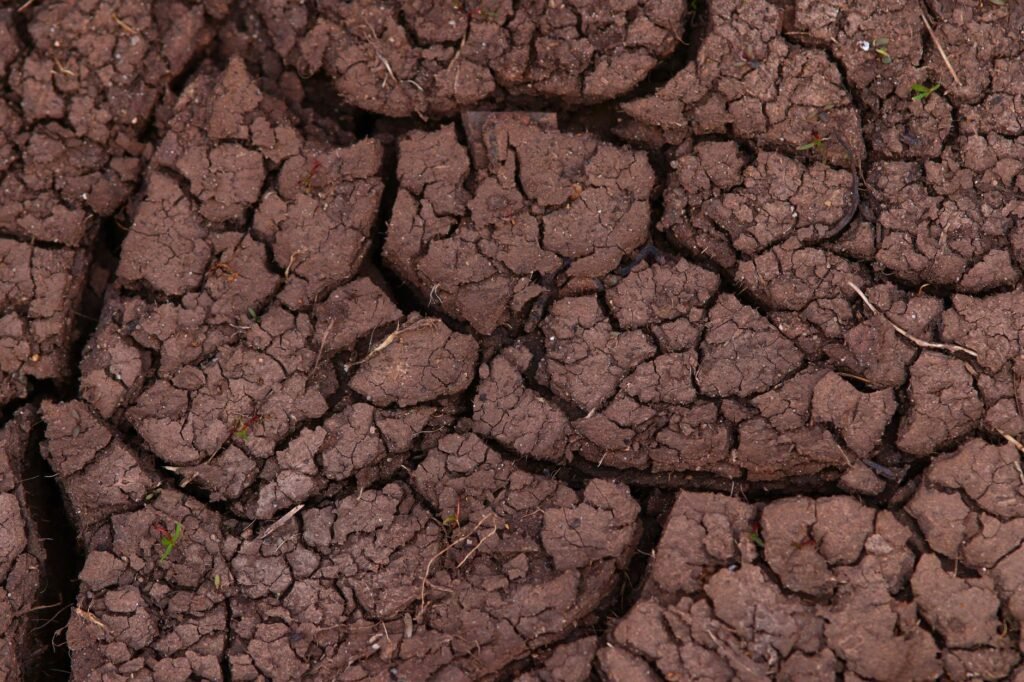 Suelo agrietado por la sequía en campos de cultivo del Reino Unido.
