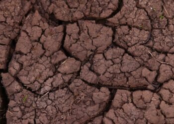 Suelo agrietado por la sequía en campos de cultivo del Reino Unido.