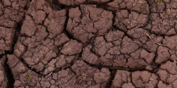 Suelo agrietado por la sequía en campos de cultivo del Reino Unido.