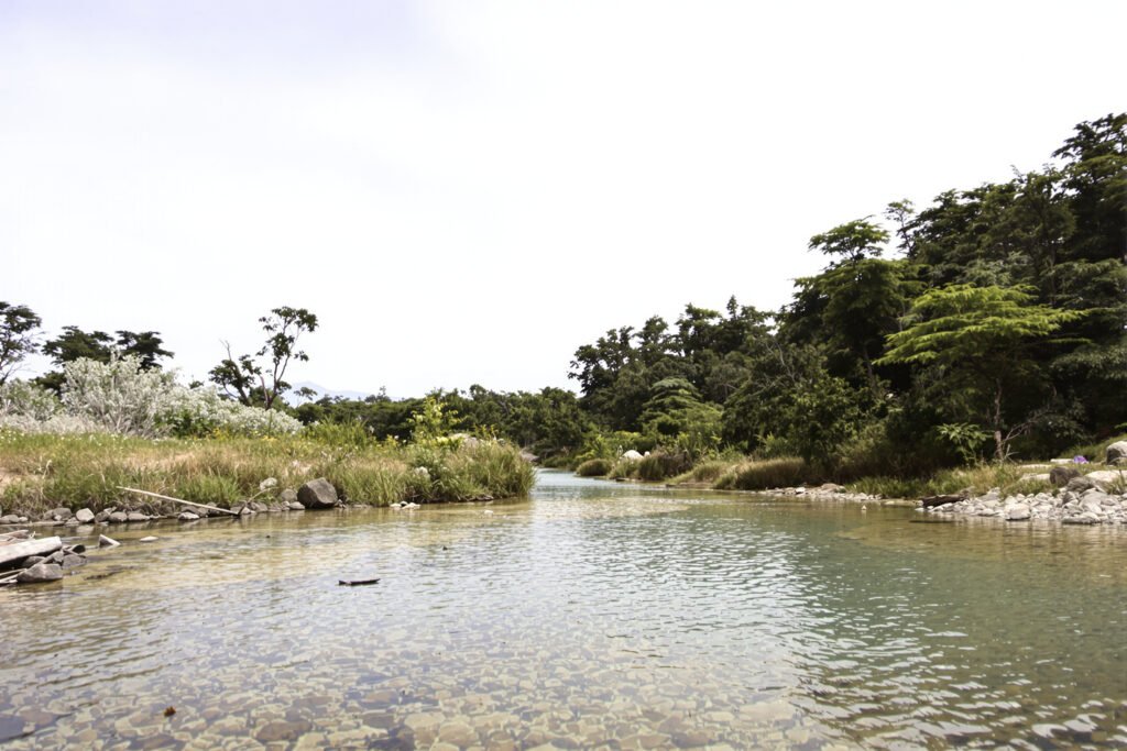 Poza natural de agua rodeada de vegetación amazónica en Bolivia, similar a los paúros ancestrales.